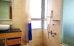 The Lakeshore (D22), Condominium #553435021